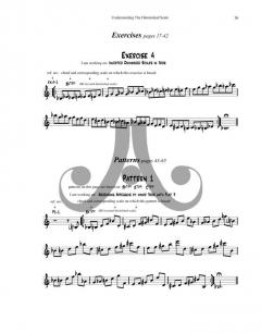 Understanding the Diminished Scale von Walt Weiskopf 
