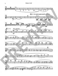 Three Elegies for Nine Clarinets von Gavin Bryars 
