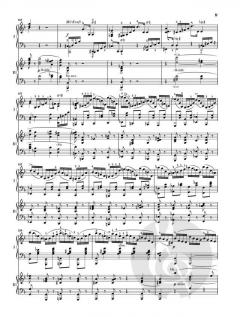 Konzert-Allegro mit Introduktion d-Moll op. 134 von Robert Schumann für Klavier und Orchester im Alle Noten Shop kaufen