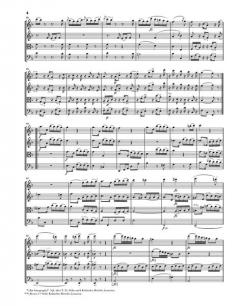 Streichquartette op. 42, op. 50, op. 54/55 von Joseph Haydn im Alle Noten Shop kaufen - HN5322