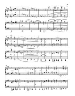 Serenaden und Ouvertüren Serie IA, Band 4 von Johannes Brahms 