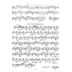 Stadtmusikanten von Jakob Schneider 