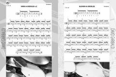 Lessons With The Hudson Greats Vol. 1 (David Garibaldi) 