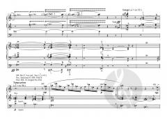 Zwei Psalmen für Orgel op. 74 von Thomas Daniel Schlee im Alle Noten Shop kaufen