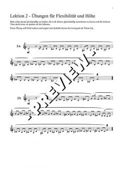 Übungen zum Aufbau von Kraft, Höhe, Ausdauer, Flexibilität, Sicherheit, Ton - DOWNLOAD (Download) 