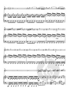 Concerto G Minor Op. 10 No. 2, RV 439 von Antonio Vivaldi 