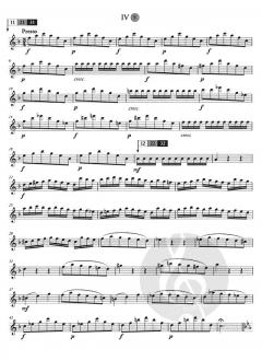 Concerto G Minor Op. 10 No. 2, RV 439 von Antonio Vivaldi 