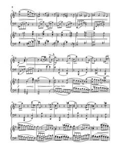 Symphonie Nr. 4 e-moll op. 98 von Johannes Brahms 