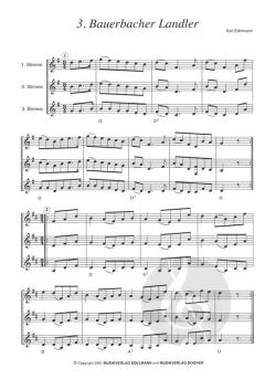 Saitenmusik zur Adventszeit Heft 1 