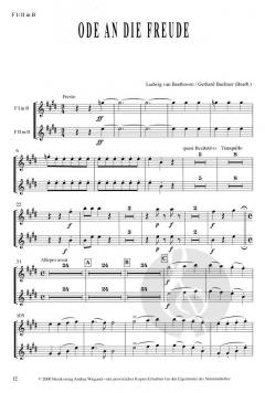Ode an die Freude von Ludwig van Beethoven 