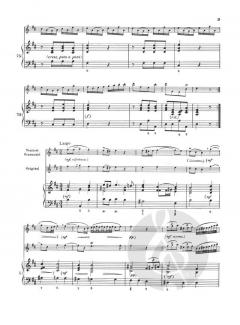 Sonate für Flöte und Continuo in D-Dur von Leonardo Vinci im Alle Noten Shop kaufen