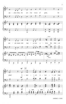 America - The New Colossus von Tom Fettke (Download) 