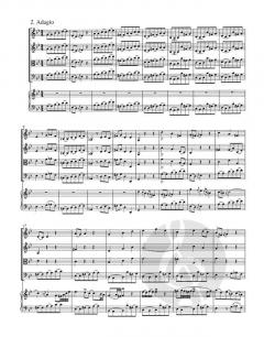 Concerto Nr. 1 d-Moll BWV 1052 (J.S. Bach) 