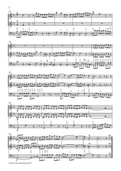 Sonata da chiesa c-Moll von Johann Gottlieb Janitsch 
