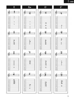 Pedal Steel Guitar Chords & Scales von Chad Johnson 