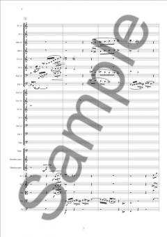 Symphony No. 13 von Ib Norholm 