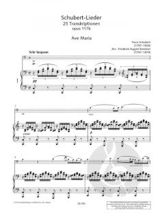 Schubert-Lieder op. 117b Band 1 von Friedrich August Kummer 
