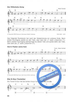 E-Gitarre mit Rocko 