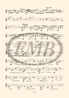 Echoes No. 1 For solo horn von Miklos Kocsar für Horn