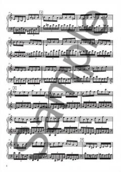 Cadena Acustica 