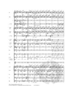 Bauern Polka op. 276 RV 276AB/C von Johann Strauss (Sohn) 
