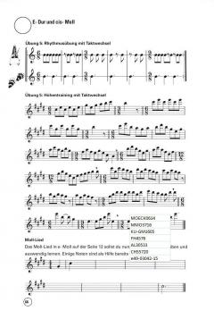 Die D2 Schule für Sopranflöte (Spielmannsflöte) von Bernd Nawrat im Alle Noten Shop kaufen
