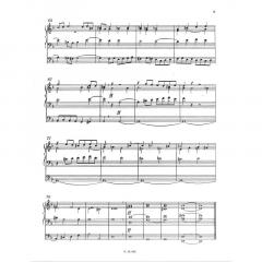 Orgelwerke von Anton Bruckner im Alle Noten Shop kaufen
