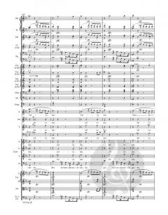 Messa da Requiem von Giuseppe Verdi (Download) 