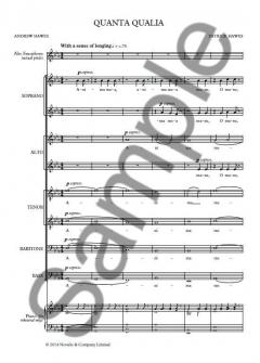 Quanta Qualia von Patrick Hawes 