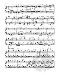 Klaviersonaten von Johannes Brahms im Alle Noten Shop kaufen