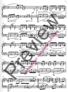 Ses op. 40b von Fazil Say 