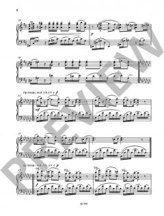 Ses op. 40b von Fazil Say 