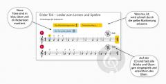 Fridolins Gitarren-Coach von Hans Joachim Teschner 