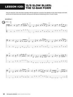 100 Blues Lessons (Chad Johnson) 