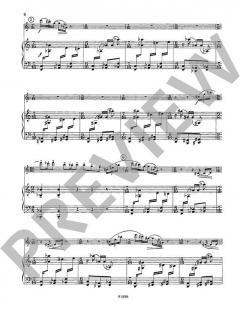Rhythmen aus der Straße von Hanus Barton 