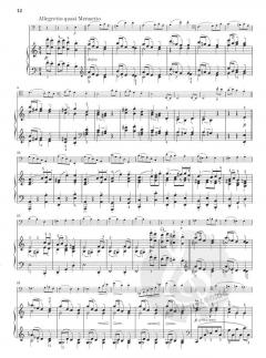 Violoncellosonate e-moll op. 38 von Johannes Brahms im Alle Noten Shop kaufen