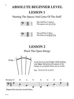The ABCs Of Bass for The Absolute Beginner To The Intermediate Student 1 von Janice Tucker Rhoda 