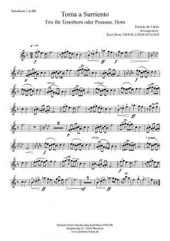 Torna a Surriento (Download) von Ernesto de Curtis (Download) 