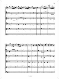 Konzert c-moll (Nicola Fiorenza) 
