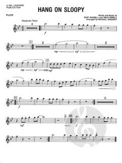 Hang On Sloopy (Michael Sweeney) 