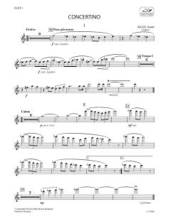 Concertino von Arpad Balazs 