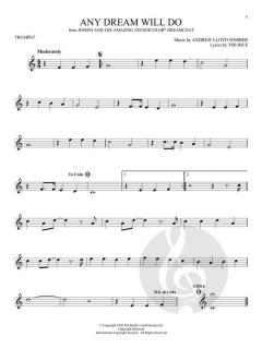 101 Broadway Songs for Trumpet im Alle Noten Shop kaufen