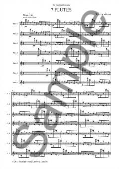 7 Flutes von Kevin Volans 