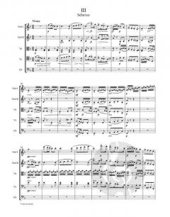 Serenade E-Dur op. 22 von Antonín Dvorák für Streichorchester im Alle Noten Shop kaufen (Partitur)