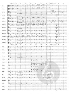 An der schönen blauen Donau op. 314 von Johann Strauss (Sohn) 