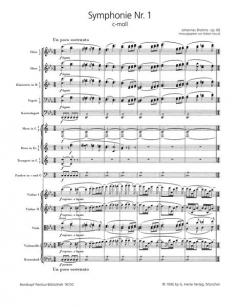 Symphonie Nr. 1 c-moll op. 68 von Johannes Brahms 