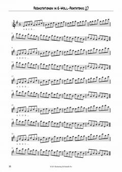 Themenreihe Improvisation: Pentatonik von Joe Degado (Download) 