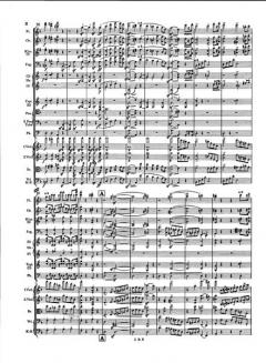 Tragische Ouvertüre d-moll op. 81 von Johannes Brahms 