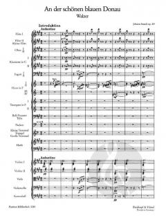 An der schönen blauen Donau op. 314 von Johann Strauss (Vater) 