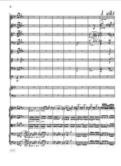 Konzert für Klavier und Orchester Nr. 2 in f-moll op. 21 von Frédéric Chopin im Alle Noten Shop kaufen (Partitur)